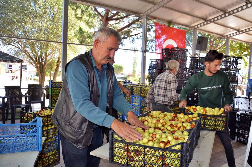 Kilosu 125 TL: Hem tok tutuyor, hem bağışıklığı güçlendiriyor! 4